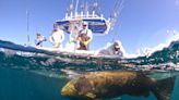 How a Bradenton fishing captain takes anglers out for ‘a story that lasts forever’