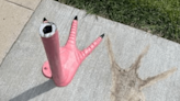 Mystery: Large pink flamingo from Parma vanished