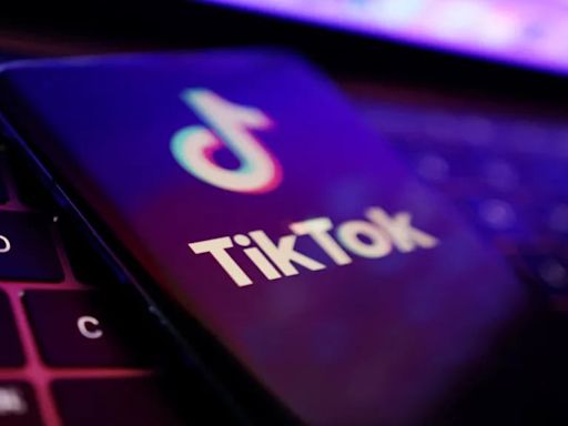 TikTok: hackearon cuentas de famosos, influencers, medios de comunicación y empresas con miles de seguidores: Paris Hilton, Sony y CNN entre los afectados