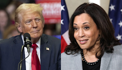 Kamala Harris Leads Donald Trump 44% To 42% In US Presidential Race: Survey