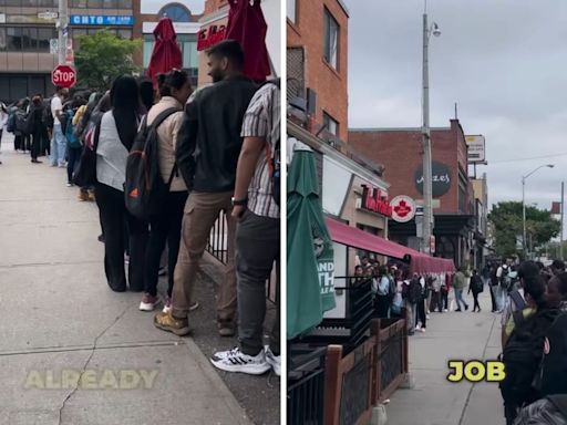 Dozens of Indian students queue up for Tim Horton’s job in Canada. Video is viral