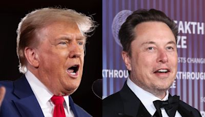 Donald Trump is reportedly considering an advisory role for Elon Musk