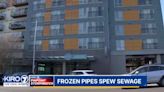 ‘Poop is flying out of my sink’: Frozen pipes cause sewer overflow in Seattle apartment