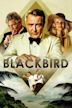 Blackbird (2018 film)