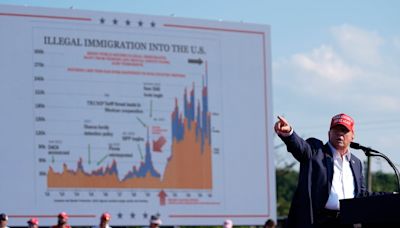 El gráfico sobre la inmigración ilegal que salvó la vida a Donald Trump