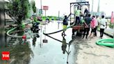 Vishwamitri River Water Level Recedes in Vadodara | Vadodara News - Times of India