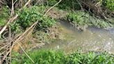 River Ver pollution is 'unacceptable', Thames Water admits