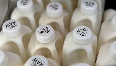 The hottest drink among conservative influencers? Raw milk.