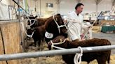 Devon County Show gets under way