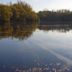 Loddon Nature Reserve