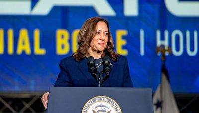 How Kamala Harris' shortened campaign timeline could work in her favor