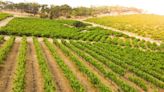 'A pie de campo', el nuevo espacio agro de Radio Calahorra