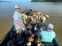 Crappie Fishermen Save 38 Dogs from Drowning in Mississippi’s Grenada Lake