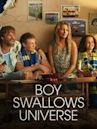 Boy Swallows Universe (TV series)
