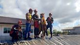 Enchentes no RS: Corpo de bombeiros de São Paulo recebe prêmio pelo resgate do cavalo Caramelo