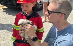 Clay County Fire Rescue, resident help release injured baby hawk back to the wild