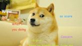 Dogecoin NFT Community 'Own The Doge' Is Installing Kabosu Dog’s Statue in Japan