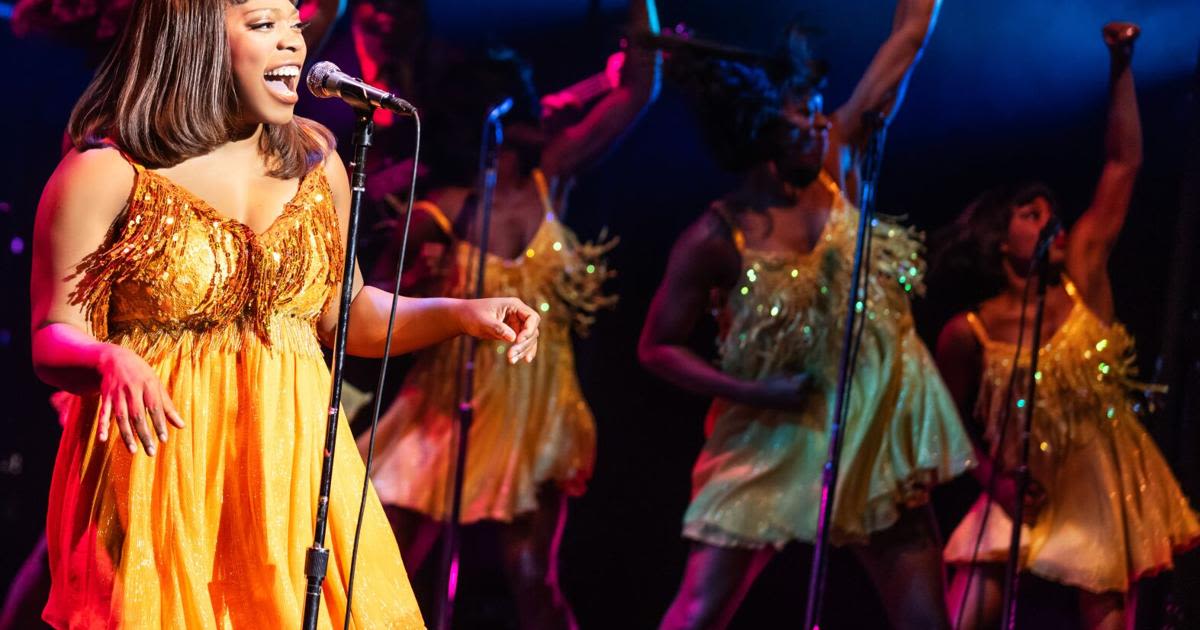 Review: Tina Turner musical is 'simply the best'