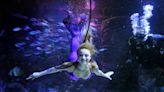 Mermaids return to Sea Life Orlando Aquarium