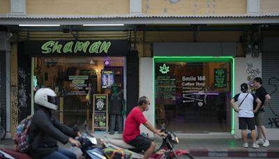 Thai Cannabis Groups Rally Against Plan to Relist Plant as Drug