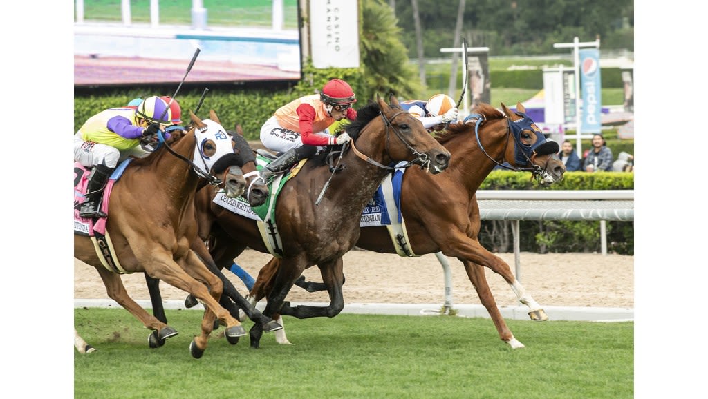 Kyle Frey rides Gold Phoenix to Whittingham Stakes win at Santa Anita