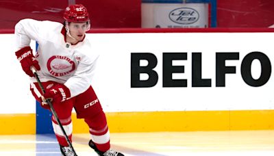 Which Detroit Red Wings prospects should we expect on next season's roster?