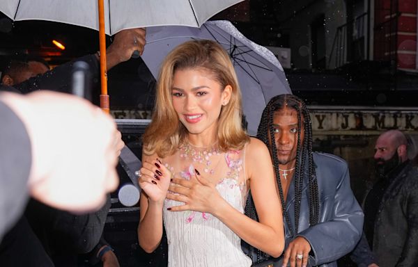 Zendaya Wore a Dreamy transparent, Butterfly-Adorned Dress to the Pre-Met Gala Dinner