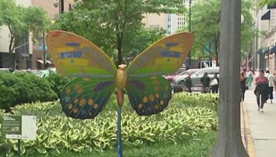 Chicago's Mag Mile transforms with unique butterfly exhibit