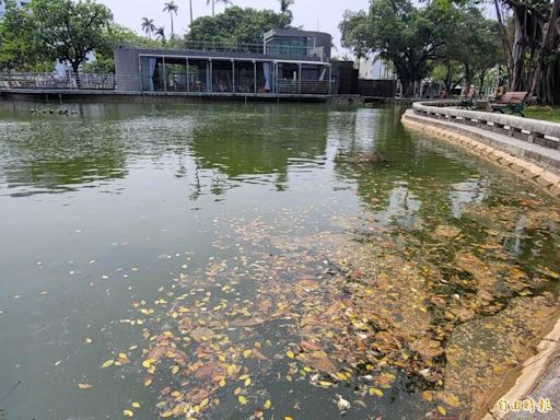 屏東公園水池清淤本週完工 大幅提升環境