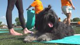 Take the Moment: Pet therapy helping people heal in East Palestine