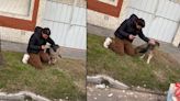 Una joven viajaba en Didi Moto y ENCONTRÓ a su perro PERDIDO hace 3 años: el video que CONMOVIÓ a todos