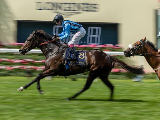 'She'll be mighty hard to beat' - summer schedule mapped out for Aussie Royal Ascot ace Asfoora