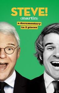 Steve! (Martin) A Documentary in 2 Pieces