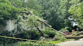 Tree falls on top of Liberty Township home