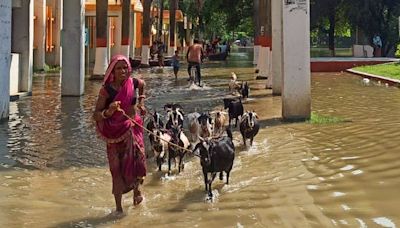 Bihar flood: High alert issued! Schools shut, overflowing rivers, emergency measures in place - all you need to know | Today News