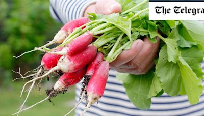 Tom Brown’s top 10 veg to grow in July