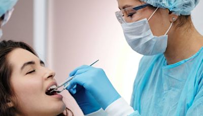 “Cambio radical”: científicos japoneses avanzan en el desarrollo de un tratamiento que podría regenerar dientes caídos