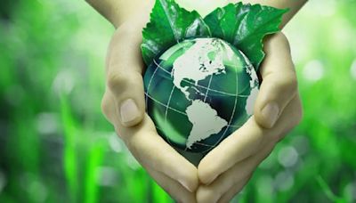Porque se celebra cada 17 de mayo el Día Mundial del Reciclaje | Por las redes