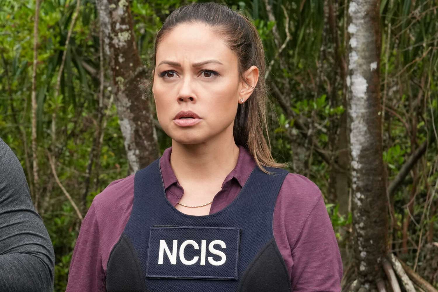 Vanessa Lachey reacts to cancellation of 'NCIS: Hawai'i'