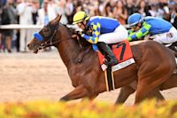 Turf racing shares weekend horse racing stage with 2 Breeders Cup dirt qualifiers