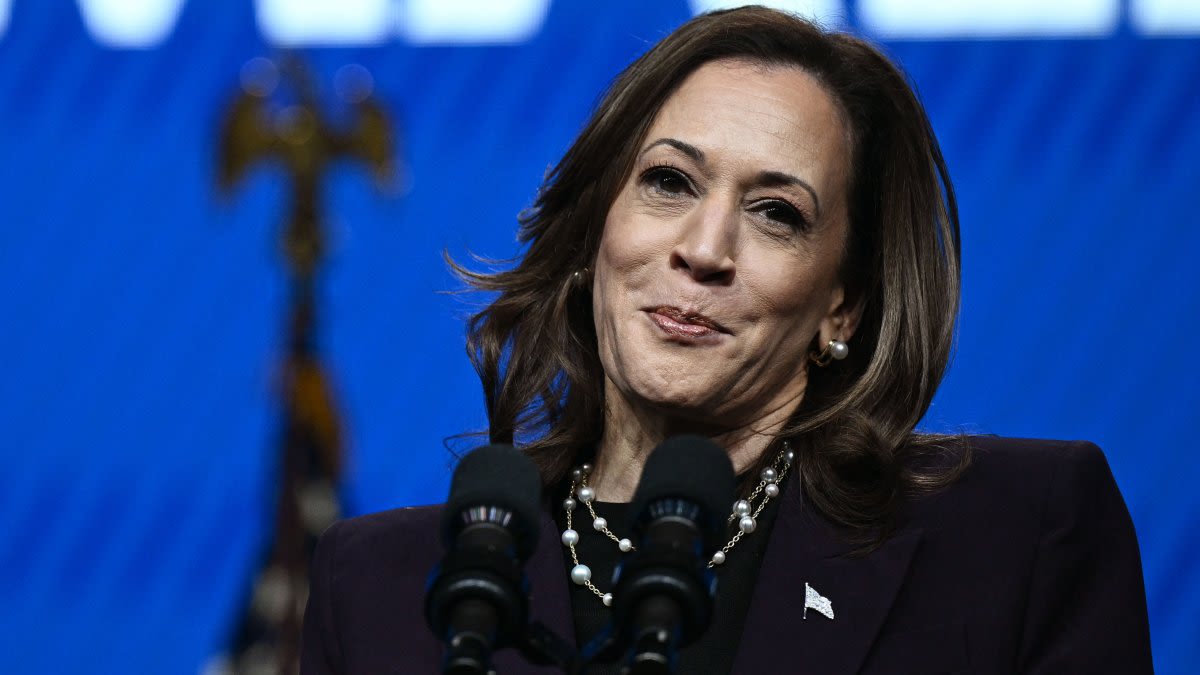 When will Harris announce her VP pick? What we know ahead of a busy week