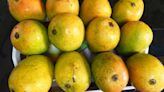 Stop this North-South divide over mangoes. The real match is playing out in Bihar and Bengal