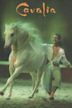 Cavalia