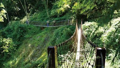 端午連假梨山、谷關避暑 「在地有腳」免費接駁上山