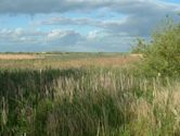 Marton Mere Local Nature Reserve