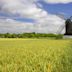 Pitstone Windmill