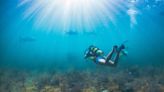 An underwater jewel lies just off South Beach. They’ve got a plan to protect it