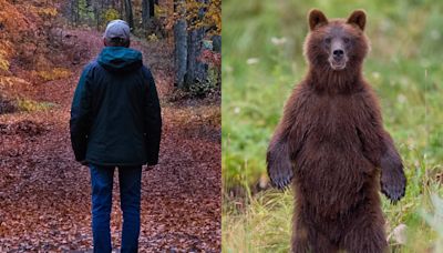 Why a question about whether a woman is safer with a man or a bear has made people angry