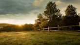 Warren Buffett Doesn't Buy Real Estate Properties – But He Couldn't Say No To This Nebraska Farm