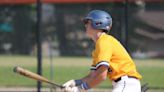 Prep roundup: Hartland baseball takes hot streak into Brighton week